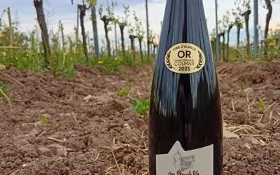 Nouvelle récompense pour le Pinot Noir Vieilles Vignes