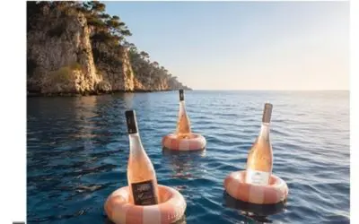 Notre Rosé distingué parmi les rosés préférés de Terre de Vins