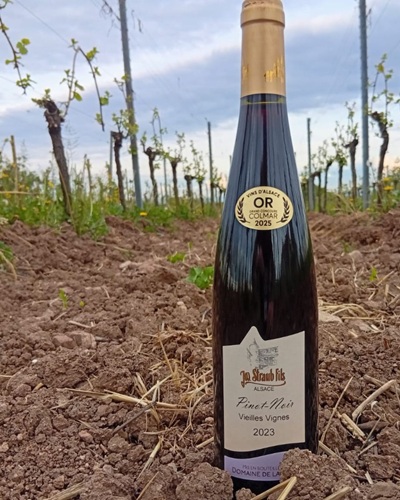 Nouvelle récompense pour le Pinot Noir Vieilles Vignes